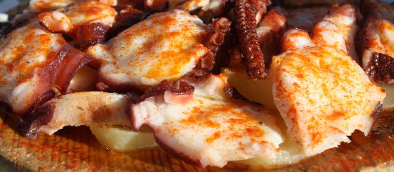 Deliciosos platos típicos propios de Pontevedra